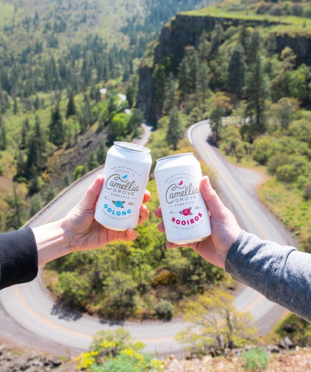 Cheers to an amazing weekend! These warmer, sunny days were exactly what we needed! 🥹⠀
⠀
Also, doesn’t Kombucha just taste *that* much better on a brisk day with the sun shining on your face?! Literal perfection. 🌤️🙌⠀
⠀
We’re so excited for the start of spring tomorrow. It‘s the start of peak Kombucha season, which we’re so here for! 🌺✨⠀
⠀
We’re ready for all the time outdoors! From a day spent in wine country, hiking in the gorge, walking the PSU Farmers Market, or taking a scenic drive to Hood River — it’s hard to beat these next few months in Oregon. 🫶⠀
⠀
That’s one of the reasons we made the switch from bottles to cans almost 2 years ago! We love being on the go, enjoying our beautiful state and want our Kombucha to be able to easily tag along. 🚙⠀
⠀
What are you most excited to do this spring and summer?? 🌲🌻⠀
⠀
• • • •⠀
⠀
#KombuchaForTeaLovers #CamelliaGrove #PNW #Oregon #GutHealth #OrganicDrinks #HealthyDrinks #LocalKombucha #Booch #OregonNW #TravelOregon @traveloregon #TravelPortland @travelportland #GetOutside #ExploreOregon