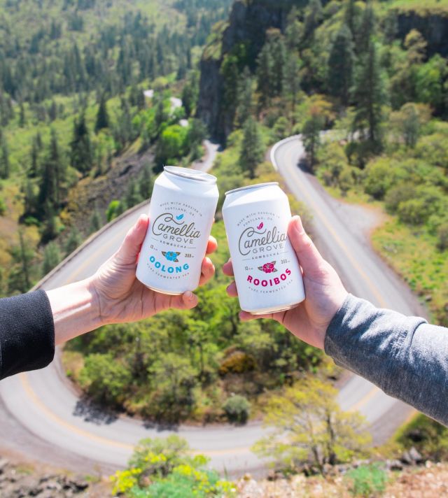 Cheers to good vibes and great taste! Sip and savor on a Camellia Grove Kombucha and let its fermented goodness boost your well-being. Tag a friend who needs a Kombucha pick-me-up! 🌈🍹✨ #CamelliaGrove #GoodVibesGoodTaste #CheersToHealth #TagAFriend #KombuchaLove