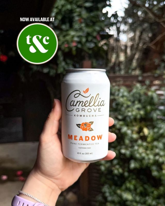 Camellia Grove is now available at @tandcmarkets!! 🪩🤩🩷

You can now find our delicious Kombucha in all 6 Town & Country locations. Keep your eyes peeled because you might spot us on the shelves this week! 👀🛒🙌

We’re absolutely thrilled and honored to partner with Town & Country Markets. Here’s to spreading the love of Kombucha to our Washington friends far and wide. 🌺💦🫶

They’ll be stocking up on 4 of our signature flavors:
🌟 Oolong Tea Kombucha
🌟 Jasmine Tea Kombucha
🌟 Rooibos Kombucha
🌟 Meadow Kombucha

Ready to get your hands on some? Check out our website’s store locator to find the closest store near you! 📍🎉

#CamelliaGrove #KombuchaForTeaLovers #WA #PNWDrinks #SeattleFoodie #KombuchaLover #TasteOfWashington