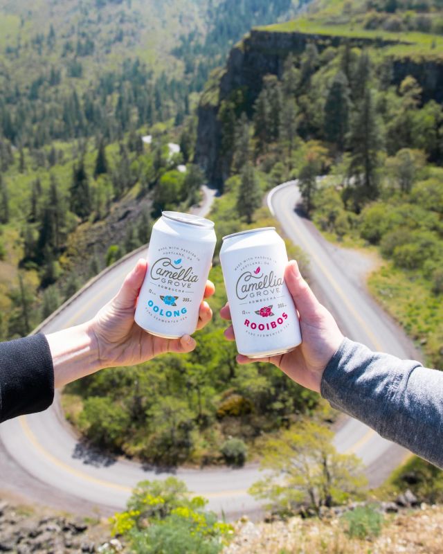 Happy Earth Day! 🌎🫶 We’re super passionate about brewing a tasty Kombucha while also crafting a product that’s better for our planet. 💚

With our Kombuchas being certified Organic, it’s not only beneficial to you but also for the earth! Organic farming practices promote soil health, biodiversity, and sustainability. A major win-win for everyone involved! 🌱🚜

We’ve even taken it a step further this year and started using regenerative sugar for our fermentation process! Through incorporating regenerative practices, we get to support those who are reducing their environmental impact, while also actively participating in nurturing our planet back to its vibrant self. 🌻🤩

In moving to cans over bottles, it isn’t just about packaging for us — it’s a commitment to sustainability. Our cans are crafted from aluminum right here in the United States. This keeps our carbon footprint low while also utilizing aluminum, one of the most recyclable materials out there! 🌳♻️

At our brewery, we’re all about keeping it efficient! We’ve dialed in our water and energy usage to make sure every drop counts, while also composting our tea leftovers to give back to the earth.💧☀️

Let’s raise a can to our beautiful planet and keep the green momentum going! 🌍🚀

#CamelliaGrove #KombuchaForTeaLovers #EarthDay #Organic #Sustainability #RegenerativeAgriculture #EarthLove
